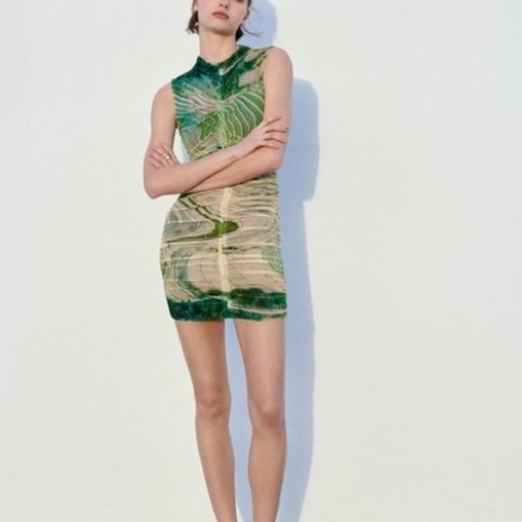 Zara Dresses & Skirts - ZARA Mock High Neck Printed Tulle Mini Sleeveless Doubled Lined Dress